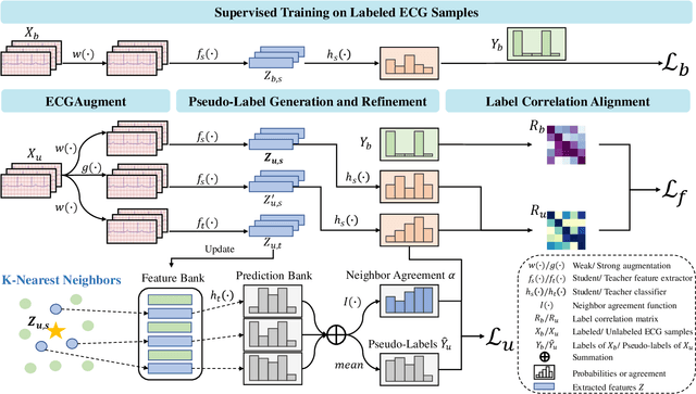Figure 2 for Semi-Supervised Learning for Multi-Label Cardiovascular Diseases Prediction:A Multi-Dataset Study