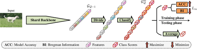 Figure 3 for Deep Negative Correlation Classification