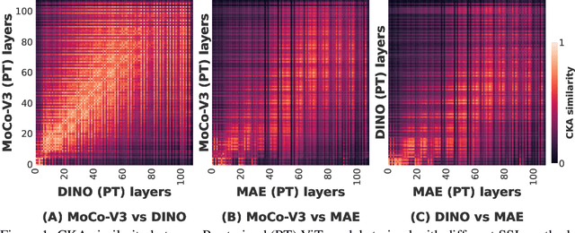 Figure 1 for Objectives Matter: Understanding the Impact of Self-Supervised Objectives on Vision Transformer Representations