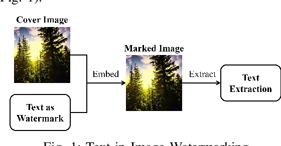 Figure 1 for Deep Learning-based Text-in-Image Watermarking