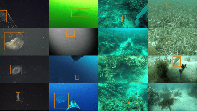 Figure 1 for Semi-Supervised Visual Tracking of Marine Animals using Autonomous Underwater Vehicles