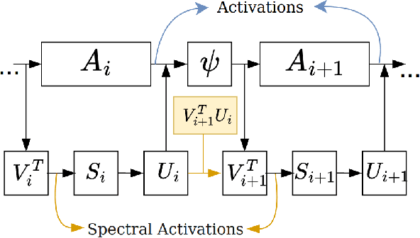 Figure 1 for Singular Value Representation: A New Graph Perspective On Neural Networks