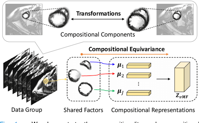 Figure 1 for Compositionally Equivariant Representation Learning
