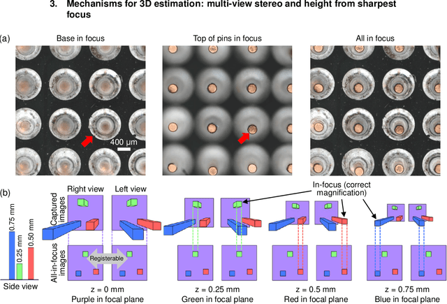 Figure 2 for Computational 3D topographic microscopy from terabytes of data per sample