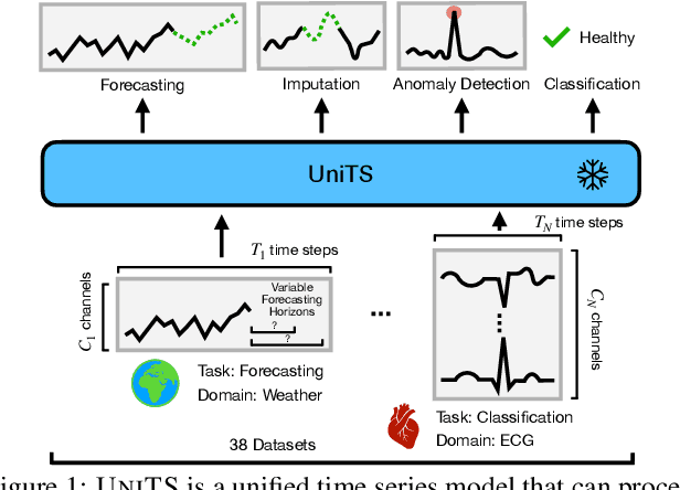 Figure 1 for UniTS: Building a Unified Time Series Model