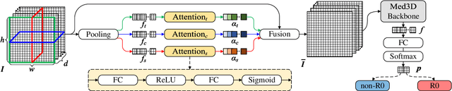 Figure 2 for Multi-View Attention Learning for Residual Disease Prediction of Ovarian Cancer