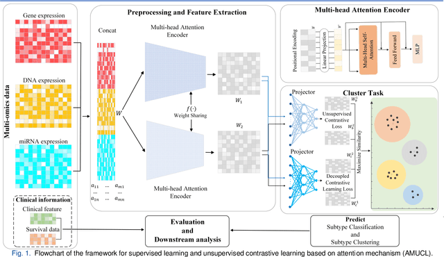 Figure 1 for Multi-Head Attention Mechanism Learning for Cancer New Subtypes and Treatment Based on Cancer Multi-Omics Data
