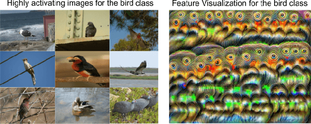 Figure 1 for Targeted Background Removal Creates Interpretable Feature Visualizations