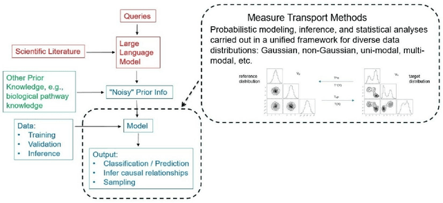 Figure 1 for Density Estimation via Measure Transport: Outlook for Applications in the Biological Sciences
