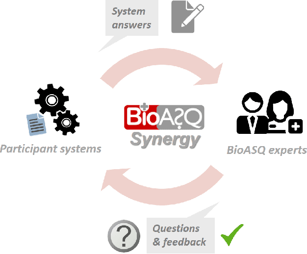 Figure 2 for Overview of BioASQ 2023: The eleventh BioASQ challenge on Large-Scale Biomedical Semantic Indexing and Question Answering