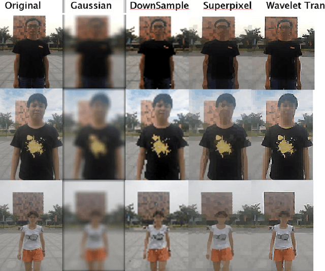 Figure 2 for Scale Invariant Privacy Preserving Video via Wavelet Decomposition