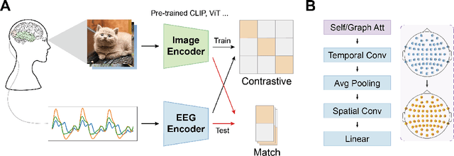 Figure 1 for Decoding Natural Images from EEG for Object Recognition
