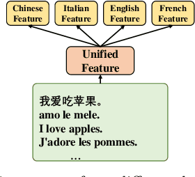 Figure 1 for Multilingual Entity and Relation Extraction from Unified to Language-specific Training
