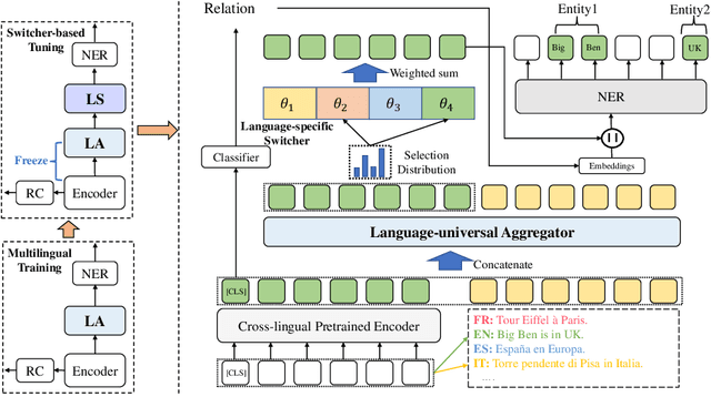 Figure 3 for Multilingual Entity and Relation Extraction from Unified to Language-specific Training