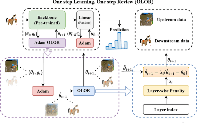 Figure 1 for One Step Learning, One Step Review