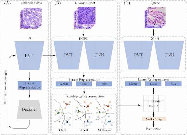 Figure 2 for Dual-channel Prototype Network for few-shot Classification of Pathological Images