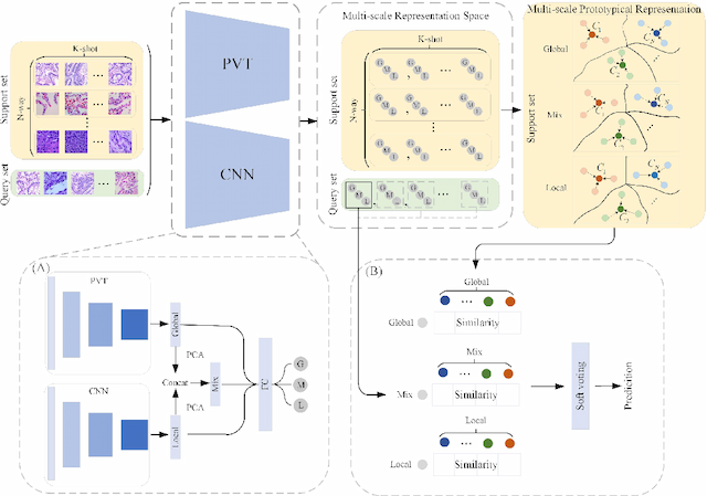 Figure 4 for Dual-channel Prototype Network for few-shot Classification of Pathological Images