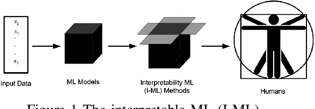 Figure 1 for Interpretability of Machine Learning: Recent Advances and Future Prospects