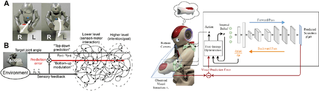 Figure 3 for World Models and Predictive Coding for Cognitive and Developmental Robotics: Frontiers and Challenges