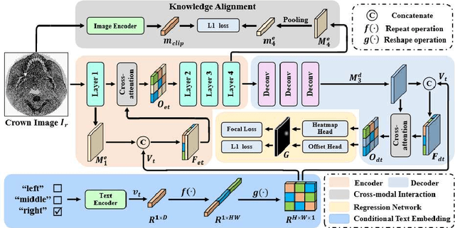 Figure 3 for TCEIP: Text Condition Embedded Regression Network for Dental Implant Position Prediction