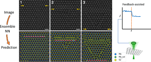 Figure 3 for Human-in-the-loop: The future of Machine Learning in Automated Electron Microscopy