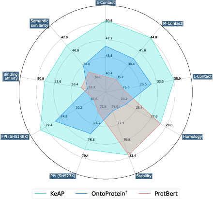 Figure 1 for Protein Representation Learning via Knowledge Enhanced Primary Structure Modeling