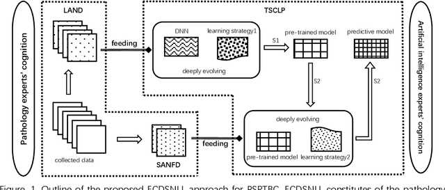 Figure 1 for Experts' cognition-driven safe noisy labels learning for precise segmentation of residual tumor in breast cancer
