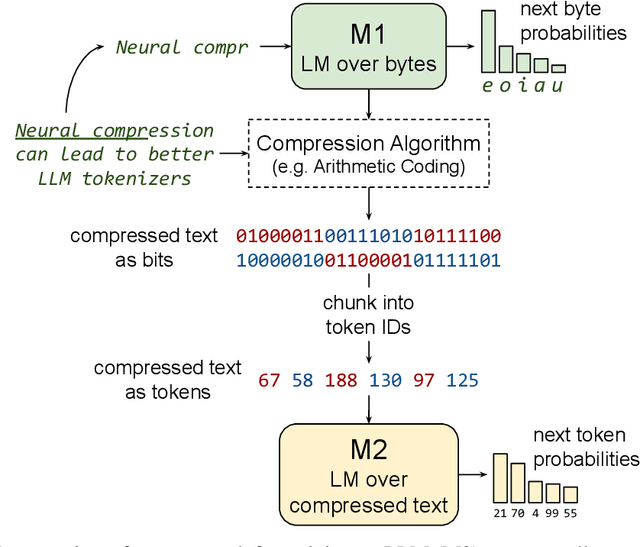 Figure 1 for Training LLMs over Neurally Compressed Text