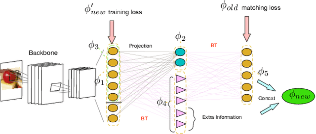 Figure 1 for $BT^2$: Backward-compatible Training with Basis Transformation
