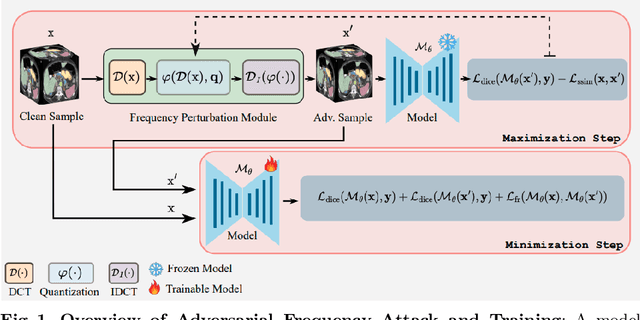 Figure 1 for Frequency Domain Adversarial Training for Robust Volumetric Medical Segmentation
