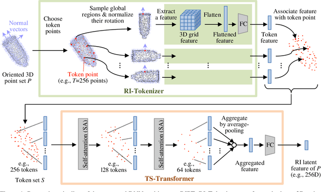 Figure 1 for Self-supervised Learning of Rotation-invariant 3D Point Set Features using Transformer and its Self-distillation