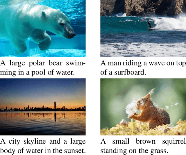 Figure 1 for Semi-Supervised Image Captioning with CLIP