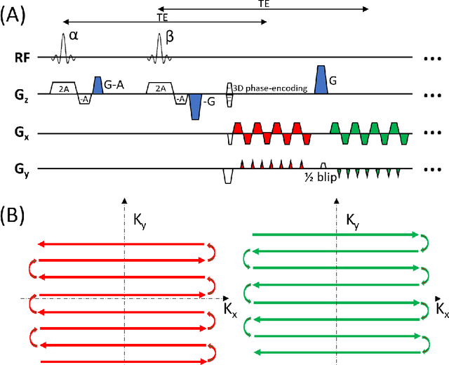 Figure 1 for Three-dimensional echo-shifted EPI with simultaneous blip-up and blip-down acquisitions for correcting geometric distortion
