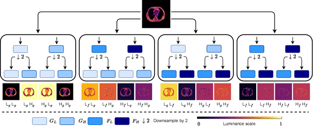 Figure 3 for Generalizing Medical Image Representations via Quaternion Wavelet Networks