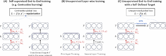 Figure 1 for Unsupervised End-to-End Training with a Self-Defined Bio-Inspired Target