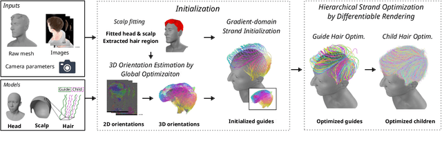 Figure 2 for Dr.Hair: Reconstructing Scalp-Connected Hair Strands without Pre-training via Differentiable Rendering of Line Segments