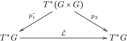 Figure 3 for Symmetry Preservation in Hamiltonian Systems: Simulation and Learning