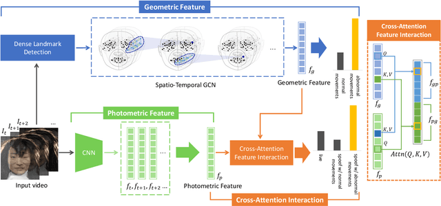 Figure 3 for A Closer Look at Geometric Temporal Dynamics for Face Anti-Spoofing
