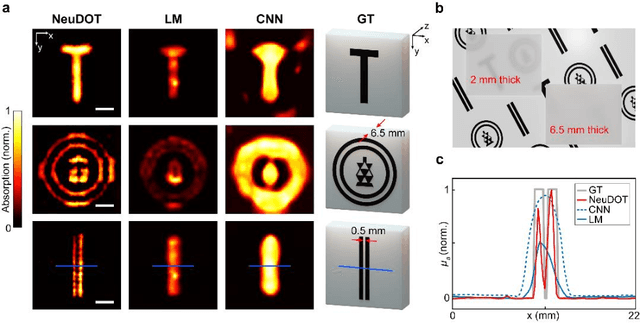 Figure 2 for High-resolution tomographic reconstruction of optical absorbance through scattering media using neural fields