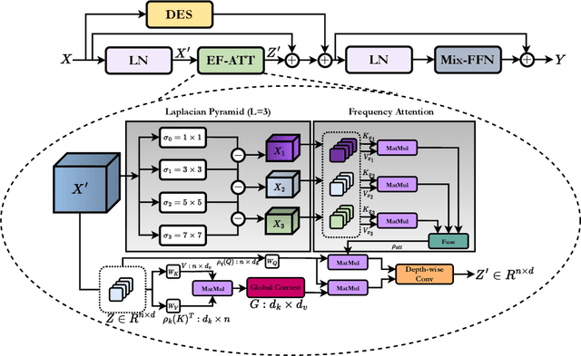 Figure 3 for Laplacian-Former: Overcoming the Limitations of Vision Transformers in Local Texture Detection