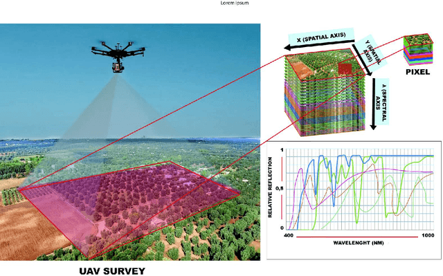 Figure 2 for Deep Learning Techniques for Hyperspectral Image Analysis in Agriculture: A Review