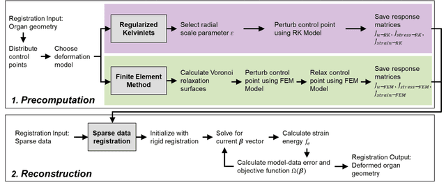 Figure 1 for Comparing Regularized Kelvinlet Functions and the Finite Element Method for Registration of Medical Images to Sparse Organ Data