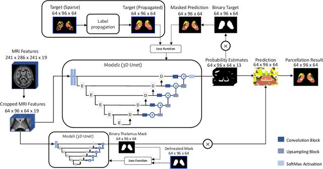Figure 3 for Label Propagation via Random Walk for Training Robust Thalamus Nuclei Parcellation Model from Noisy Annotations