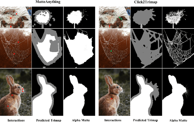 Figure 3 for Learning Trimaps via Clicks for Image Matting