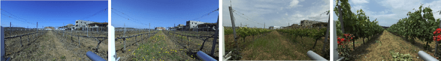 Figure 3 for Collection and Evaluation of a Long-Term 4D Agri-Robotic Dataset