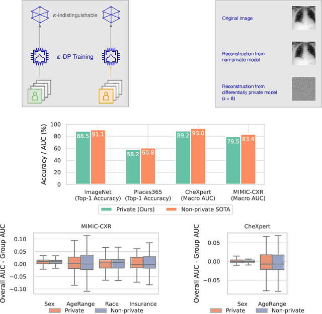 Figure 1 for Unlocking Accuracy and Fairness in Differentially Private Image Classification