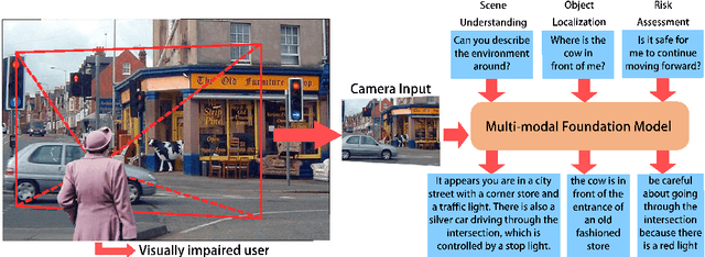 Figure 1 for VisPercep: A Vision-Language Approach to Enhance Visual Perception for People with Blindness and Low Vision