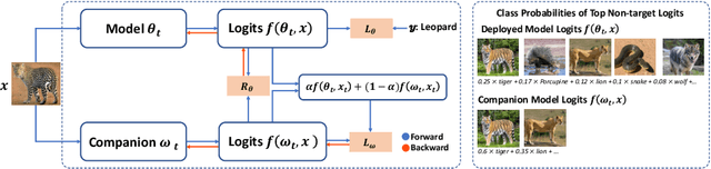 Figure 1 for Deep Companion Learning: Enhancing Generalization Through Historical Consistency