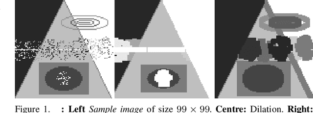 Figure 1 for The Polynomial Connection between Morphological Dilation and Discrete Convolution