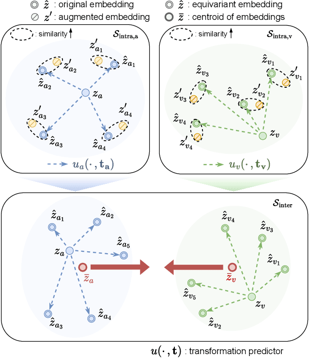 Figure 1 for EquiAV: Leveraging Equivariance for Audio-Visual Contrastive Learning